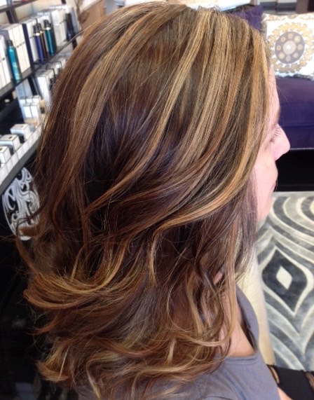 <img src=”image.png” alt=”balayage_ana’s_hair_salon_el_paso_texas”>