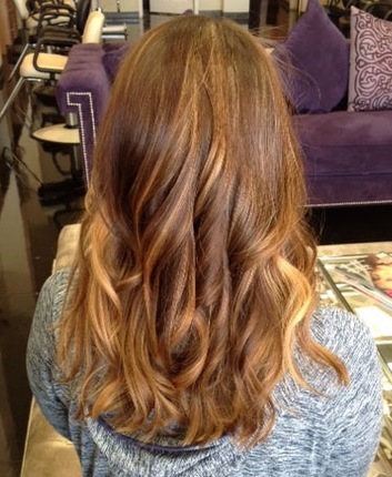 <img src=”image.png” alt=”balayage_ana’s_hair_salon_el_paso_texas”>