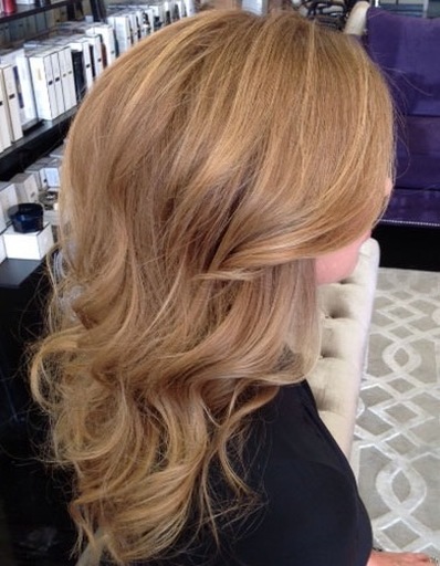 <img src=”image.png” alt=”balayage_ana’s_hair_salon_el_paso_texas”>